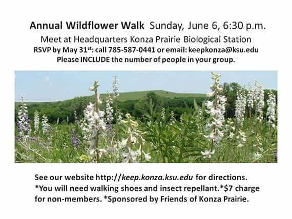 Wildflower Walk postcard