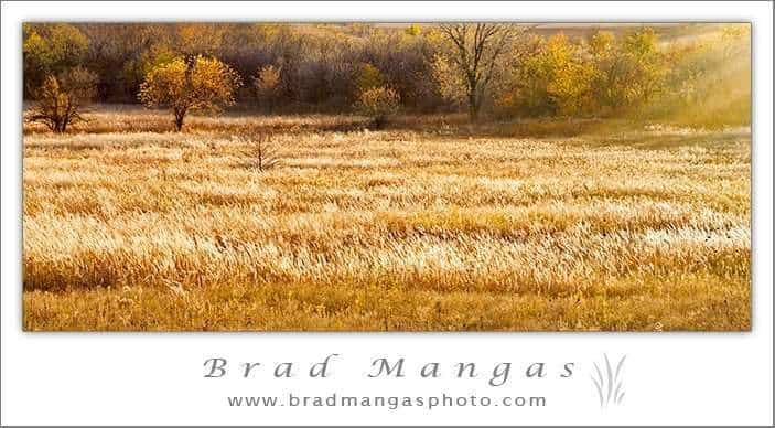 Kansas nature landscape photography