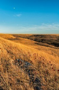 Late Autumn, The Kansas Flint HIlls